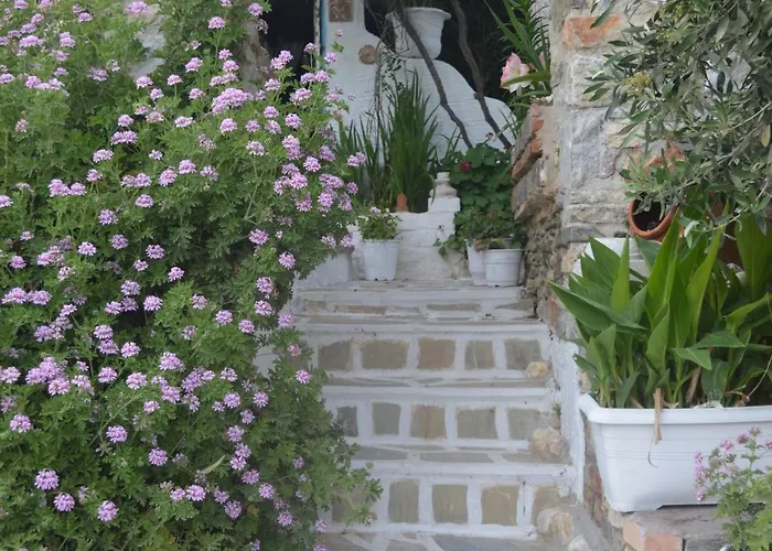 Aposperitis & Lägenhet Kini